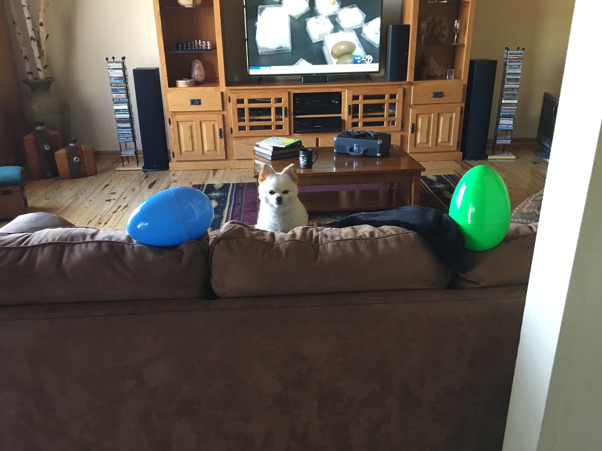 Ash7113's tweet photo. #lilman Easter egg 🥚 hunt! https://t.co/19G90gMkwl