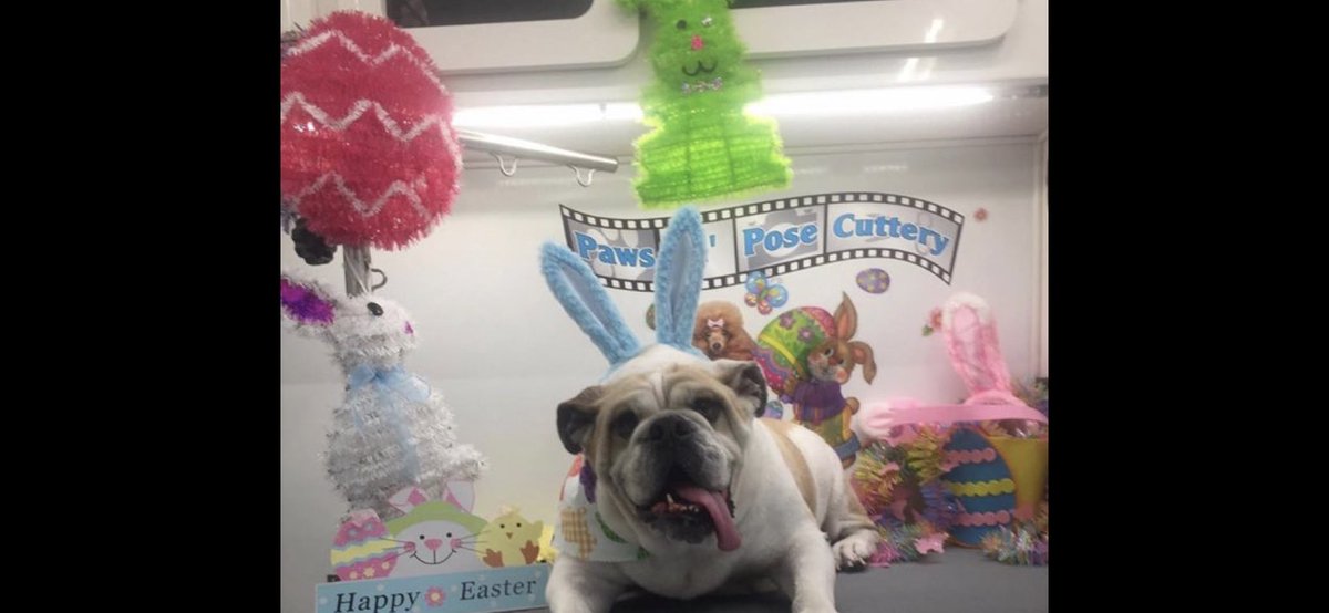 greenyd10's tweet photo. Happy Easter from Titan! @AmyFreeze7 @AmyFreeze https://t.co/sHijiLse7Y
