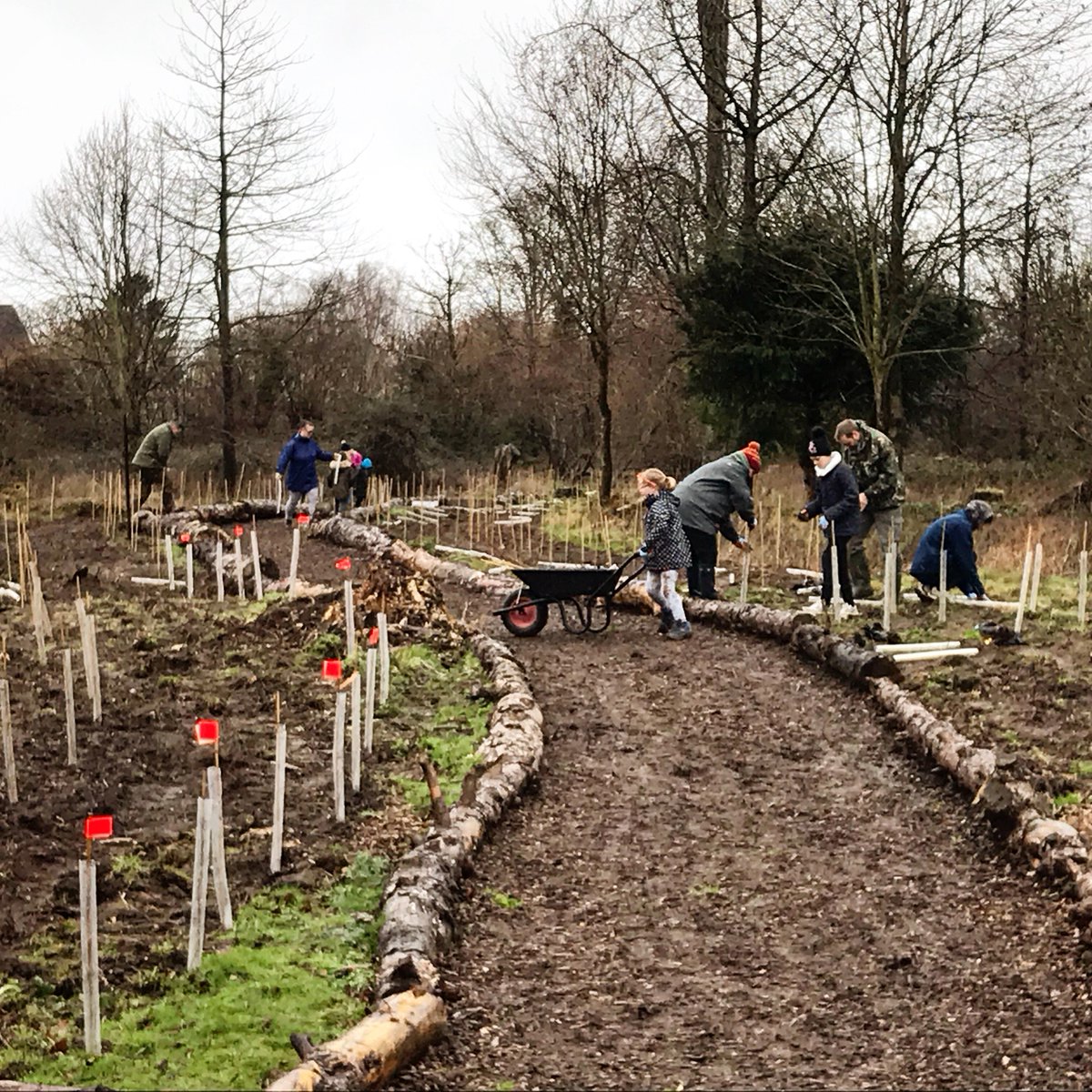 RAFBF's tweet photo. @RAFMarhamMedia has branched out to mark our centenary year by planting 525 trees 🌱 in an eco-area on station. The trees are now available to ‘adopt’ for as little as a £5 donation to @RAFBF and will help to create a lasting green space for the community https://t.co/RMarxYEFgr https://t.co/CwnYvj7nqe