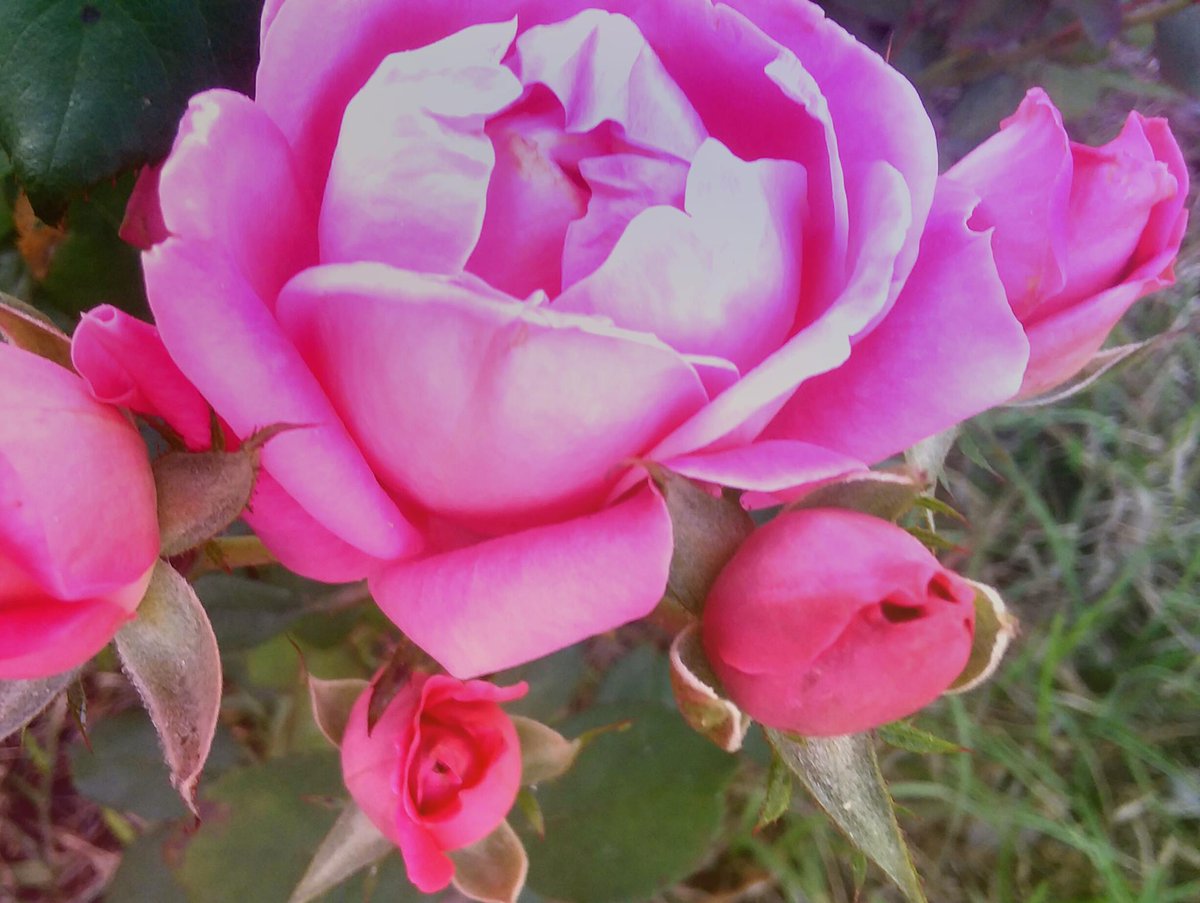 PeggyMercer's tweet photo. All things #Beautiful, created by the #MastersHand...what wonders we gained when he gained His wings on that #EasterSunday so very long ago...what an artist, a #PeaceGiver, a #HopeMaker and a #LifeLover he was....so thankful I have a #Friend who loved me best. https://t.co/fbnkyNPYPk