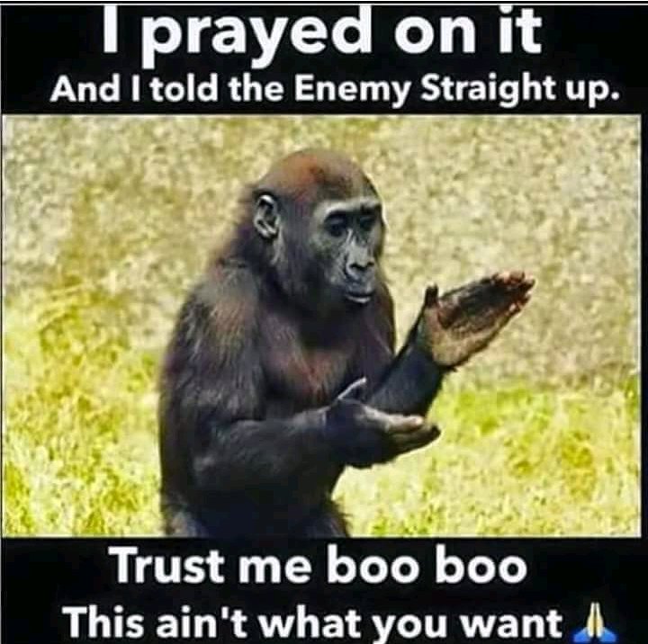 LM_Chocolate's tweet image. #trymenot
Have a great day. Let nothing or anyway try to block you or stop you. Be bold in your prayer life, remember at the mention of the name JESUS demons have to flee. Be blessed