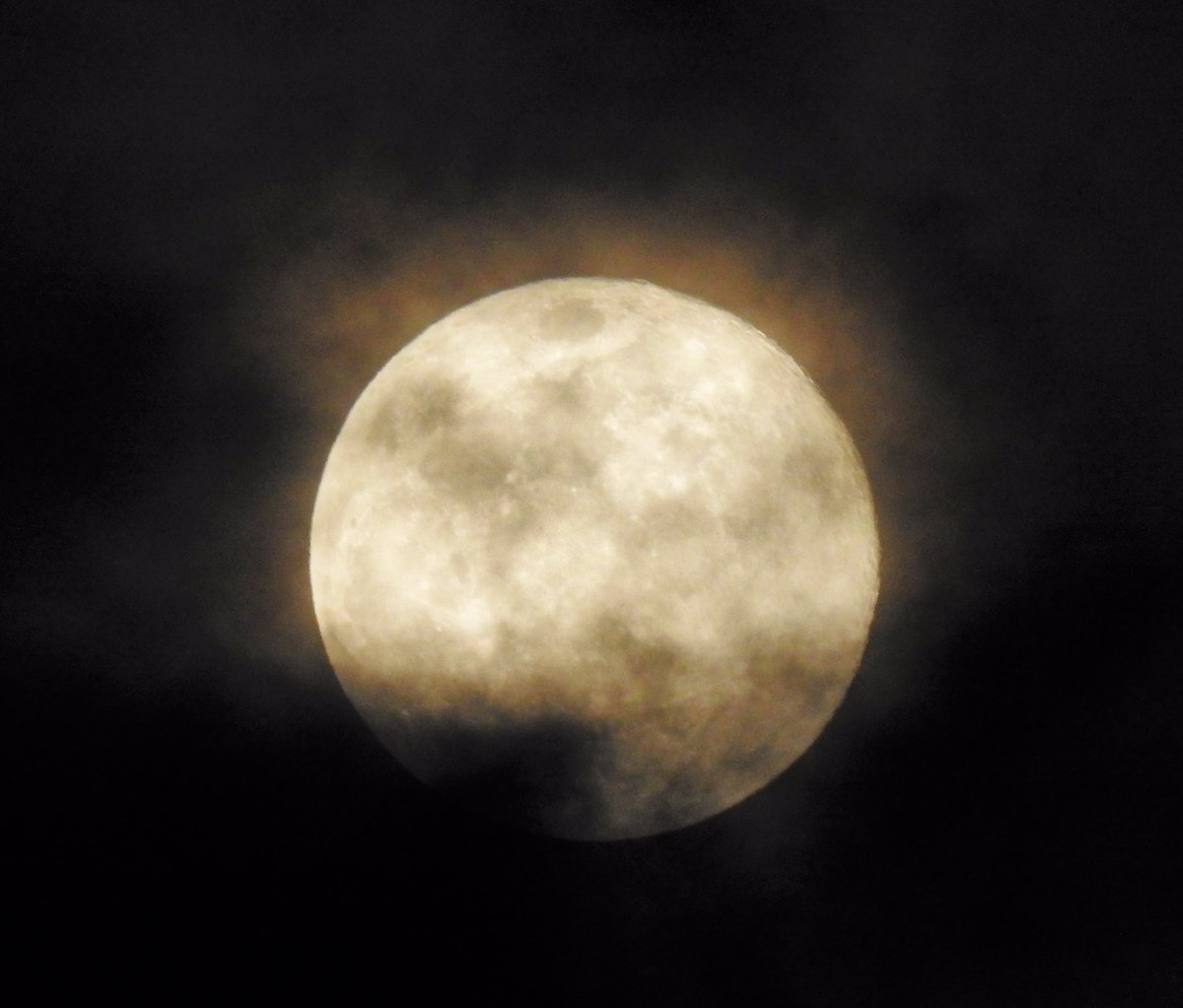 lyndakmiles's tweet photo. April’s full #moon in cloudy and cool MS #Stormhour @PhotographyWx @WCBIWEATHER  @ThePhotoHour #PinkMoon #2ndlight https://t.co/amw4DU2oJq