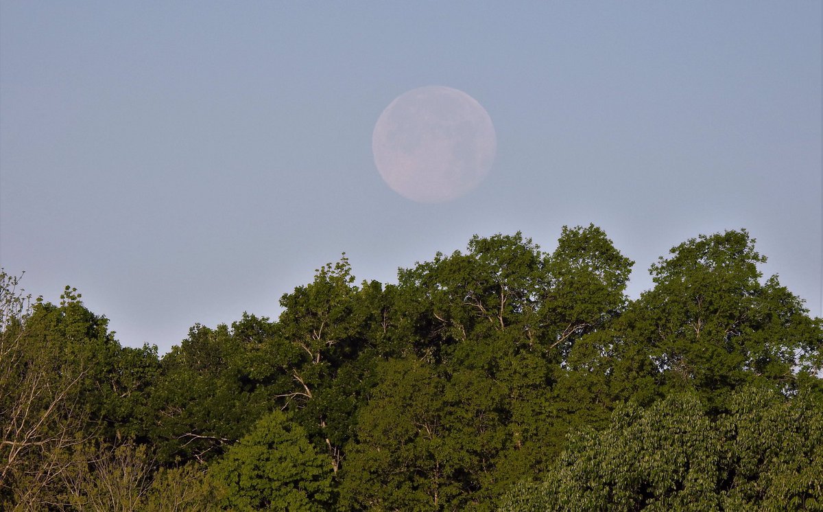 lyndakmiles's tweet photo. April’s full #moon in cloudy and cool MS #Stormhour @PhotographyWx @WCBIWEATHER  @ThePhotoHour #PinkMoon #2ndlight https://t.co/amw4DU2oJq