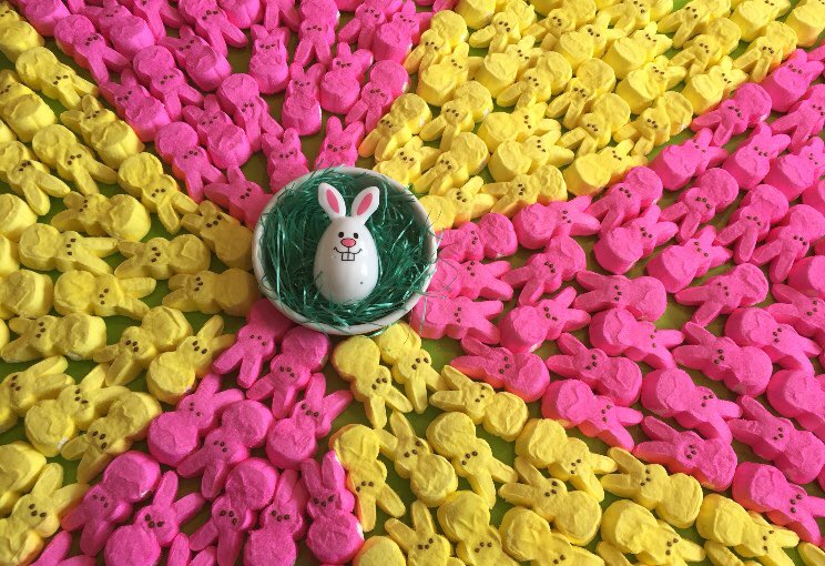 WichitaFlag's tweet photo. Celebrating Easter weekend with my favorite peeps. 
#PeepArt #easter2019🐣 
#ilovewichita #wichitaflag https://t.co/AKDdO1g63A