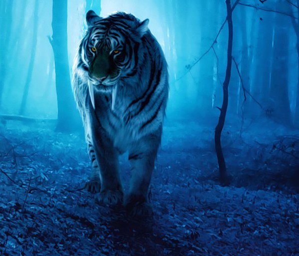 AuthorCRPugh's tweet photo. "That beast is hunting me.”
“You don’t know that. Sabers could have been hunting us all along.”
The Saber’s feral eyes shifted to us. The yellow, hypnotizing eyes stared at me for another heartbeat, then it snarled and sprung out of the grass.
#SciFanSat #HuntedintheValley https://t.co/RP6EhU2YgZ