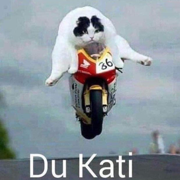 ijustwant2ride's tweet photo. Reposting @fastmask:
I wanna ride right Meow. 😂😂😂 #bike #bikeporn #bikelife #motorcyclelife #superbike #sportbike #bikers #suzuki #honda #yamaha #ducati #mvagusta #kawasaki #ktm #aprilia #cruiser #harley #harleydavidson #biker #motorcycle #Dirtbike #fastmask #ducati https://t.co/ornckDUt3a