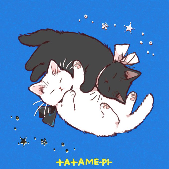 「黒猫 全身」のTwitter画像/イラスト(古い順)