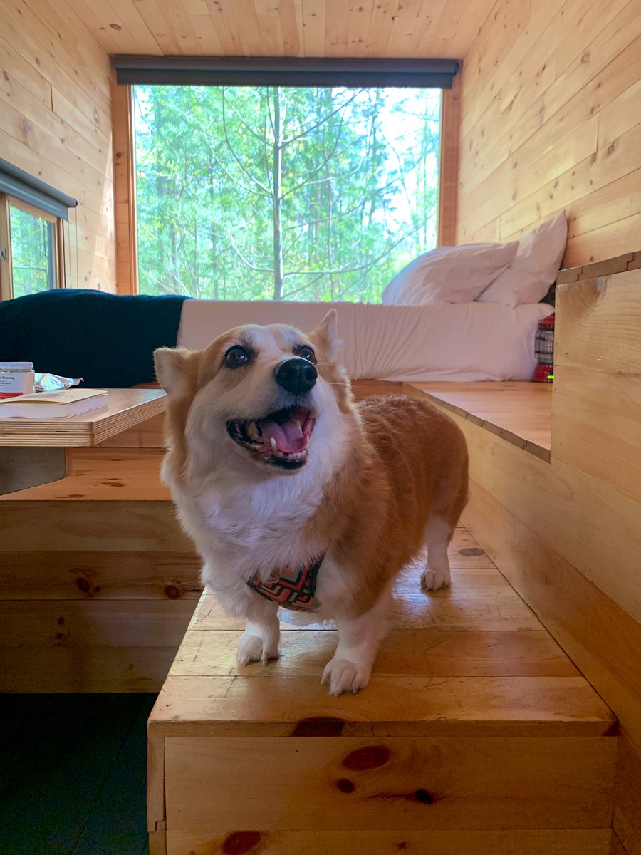 LauraHayesDC's tweet photo. Checking into our @getaway_house for Little Sesame &amp; @OutdoorVoices #WildSesame weekend. https://t.co/sQH60pf2wP