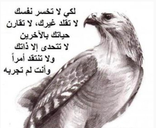 🌟 لكيلا تخسر نفسك 

     لا تقلد غيرك، 

    لا تقارن حياتك بالآخرين 

    لا تتحدى الا ذاتك 

    و لا تنتقد أمرا وانت لم تجربه.