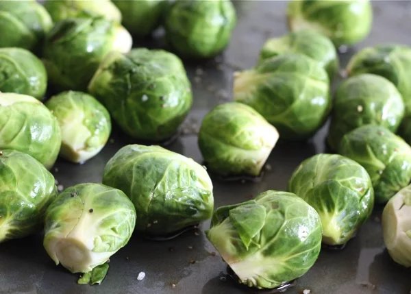 Anonscoobs's tweet photo. I found a new good treat last week.
Well actually moms let me try it. 
And yumms. I'm very picky but
As fars as produce----
I like cherries 🍒 and now
Brussel sprouts https://t.co/Jk7idTaK4j