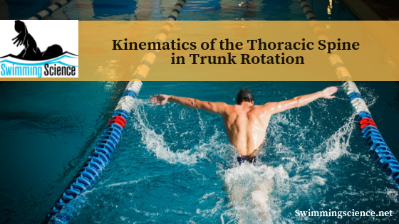 swimmingscience's tweet photo. Kinematics of the Thoracic Spine in Trunk Rotation! 
https://t.co/Z2c3jPnMwe
#Swimming #Kinematics #Tspine #Trunk https://t.co/fUlL2DpemC