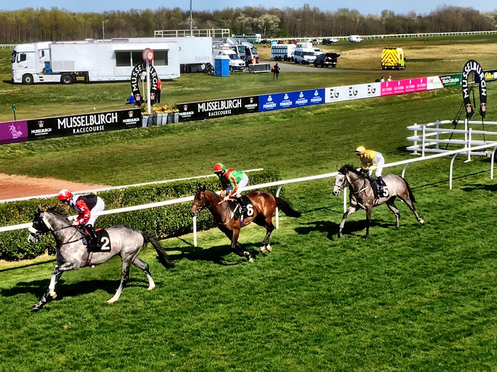 LiamRudden's tweet photo. Got a great vantage point to watch the horses pass the finishing post.
#MusselburghRaces #EasterRaces https://t.co/vqzRzOrPS5