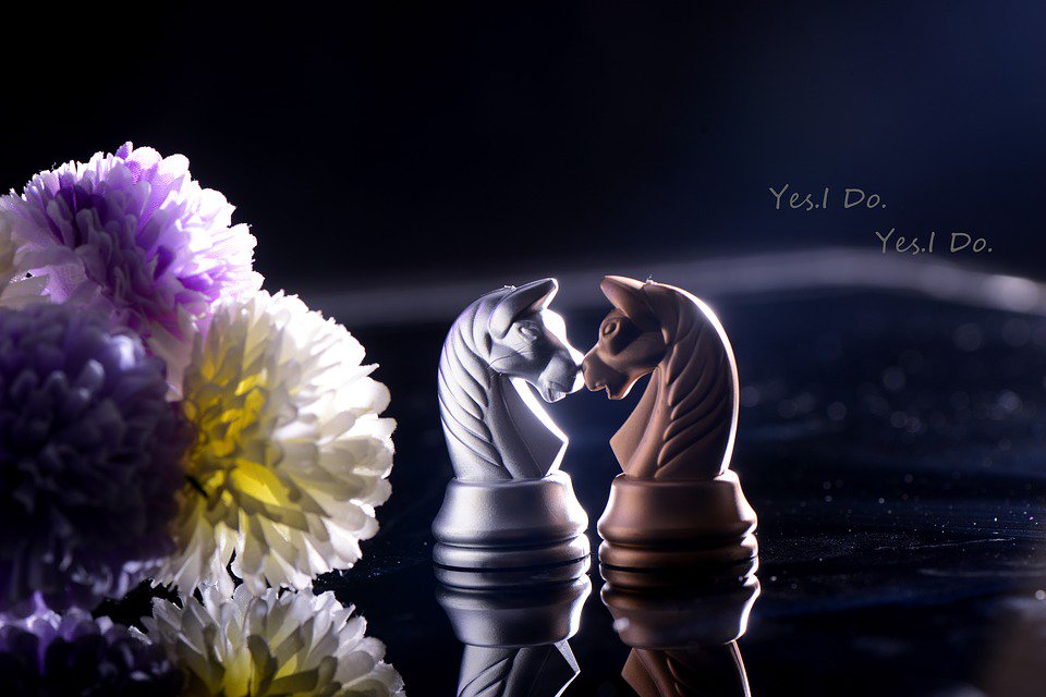 HDBankChess's tweet photo. Chess love story
#Chess #lovestory #HDBankChess https://t.co/zfDoVMOQk0