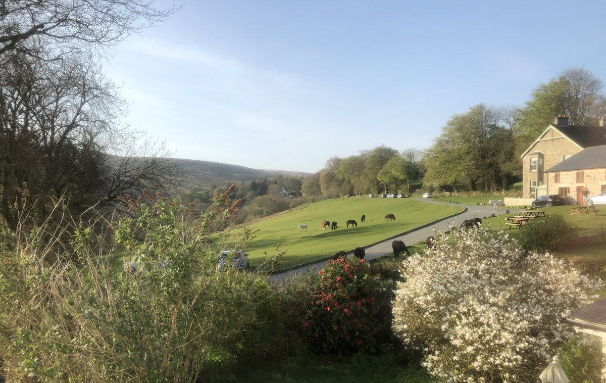 VisitDartmoor's tweet photo. How beautiful Dartmoor is today with the ponies grazing peacefully 💚 
There’s more of this sunshine coming, will you enjoy it on Dartmoor? https://t.co/xp0Z808ww6 
There’s still time 🤗 Heart of Devon.  
 #poniesgalore #Dartmoor #Ponies #Devon #BankHolidayWeekend https://t.co/aKkqs9sgzE