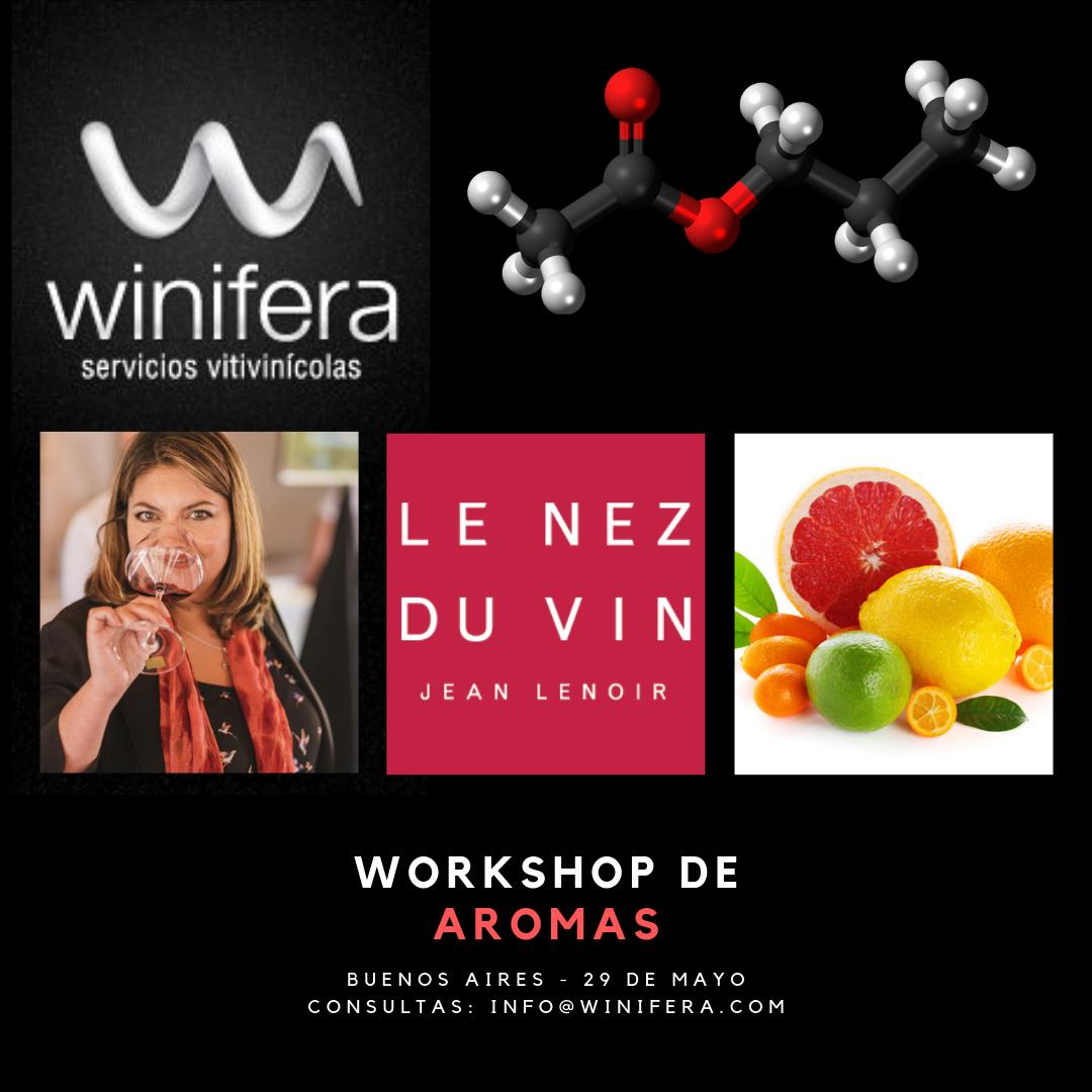 winifera_'s tweet photo. El día 29 de Mayo estaré en Buenos Aires dictando un Workshop de Aromas. Los cupos son super limitados, consultas por DM o email! #Aromas #Workshop #Winifera #Wine https://t.co/SuL8Ylyn4o
