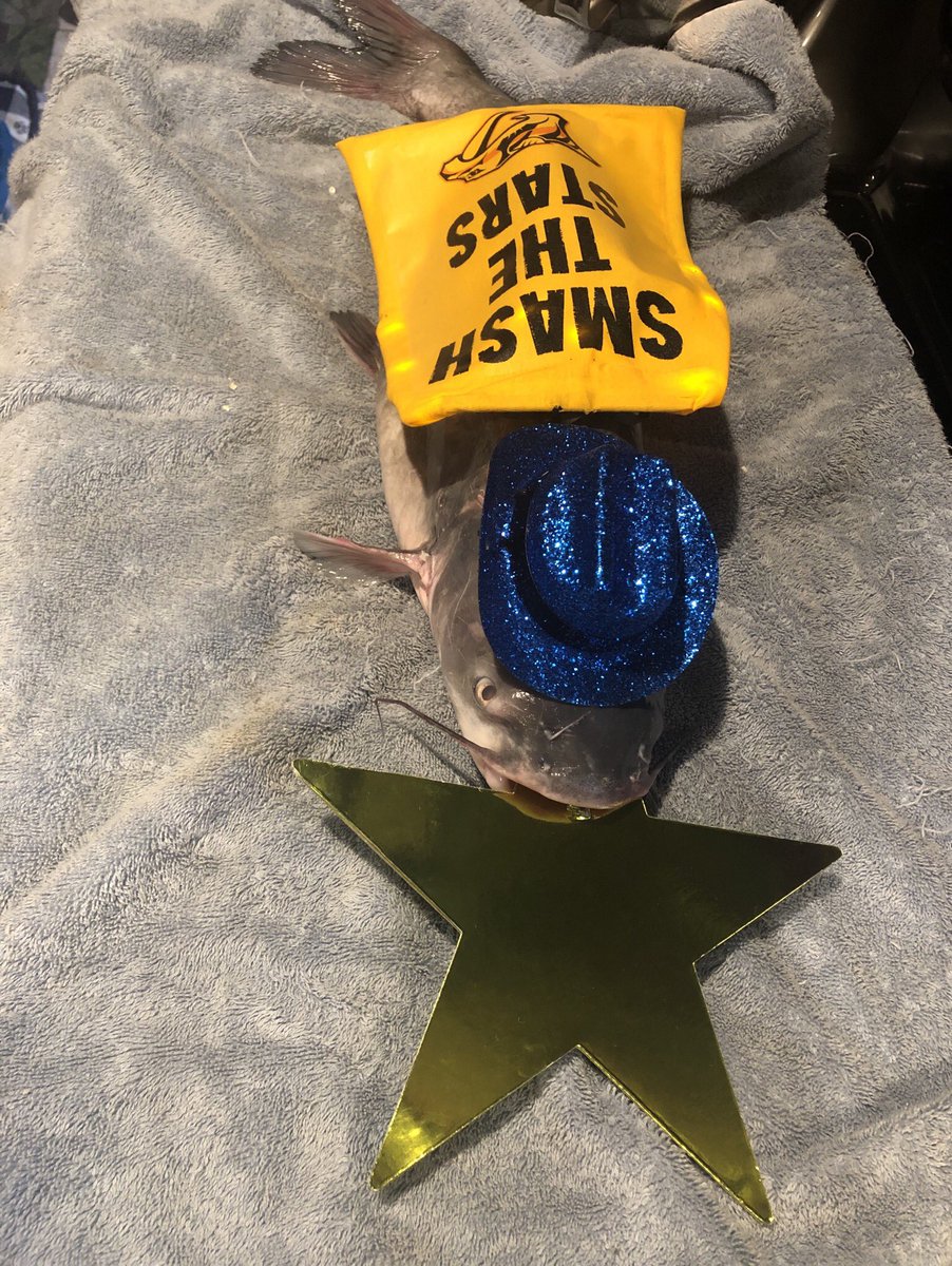 SmashCatfish's tweet photo. I’ll see you at 2pm!! Let’s go Preds!! @PredsNHL @IAmUltimatePred @1025TheGame https://t.co/xNio6LPWJS