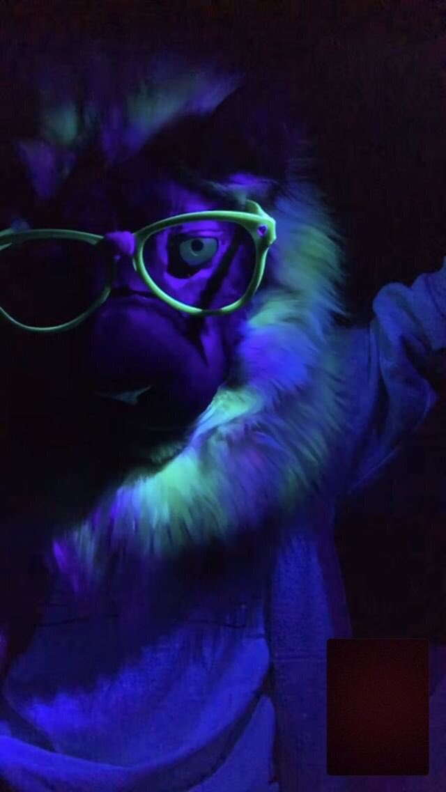 average_king_'s tweet photo. You will never forget a person who came to you with a torch in the dark! 🌌🌑🌙⭐️ #furry #fursuit #anthro #furryfandom #fursuitfriday #furries #furriesofinstagram #fursuitersofinstagram #fursuiter https://t.co/XKFNHtkhM5