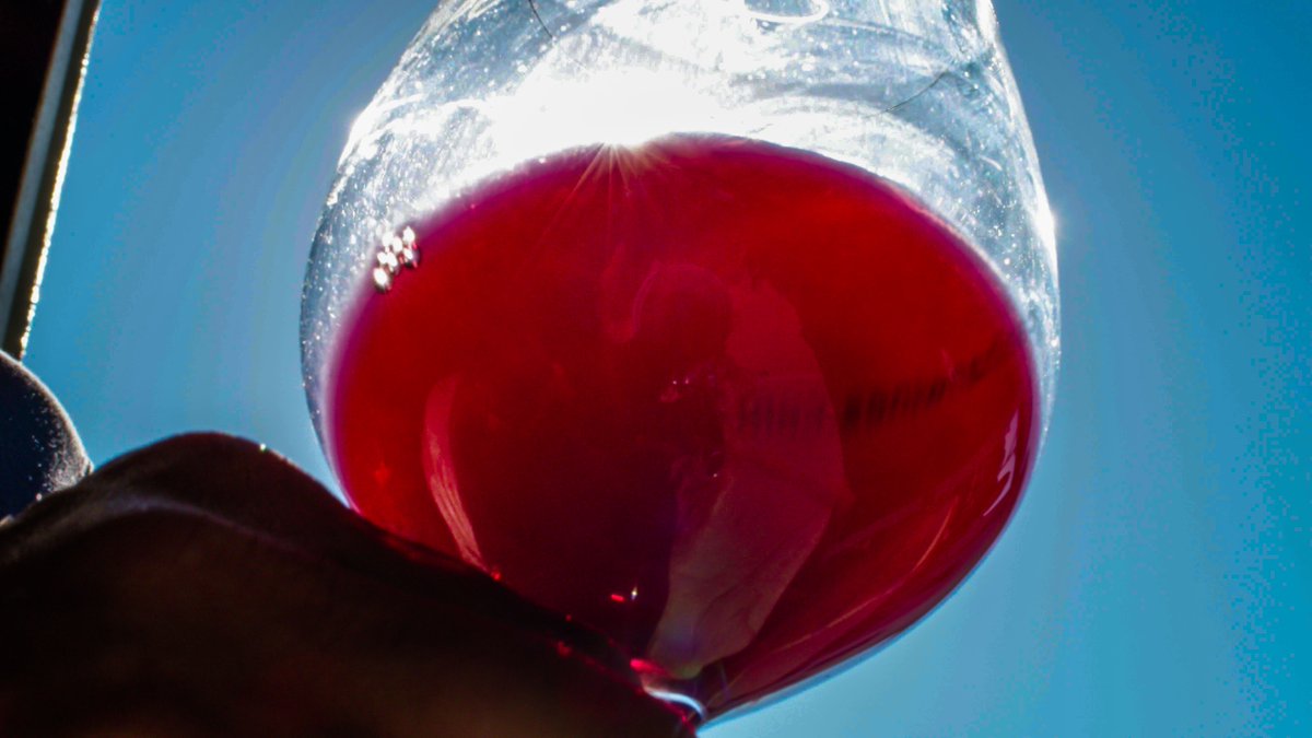 canihanwines's tweet photo. This full- bodied Pinot Noir shines brightly in the rays of the afternoon sun. 
canihanwines #canihanwinery #canihanvineyard  #wine #winetasting #organic #botiquewinery #smallwinery #smallproduction #somm #sommeliers @YoungsMarket @pascalinelepeltier @PianetaTruckee https://t.co/lKYop2mrFI