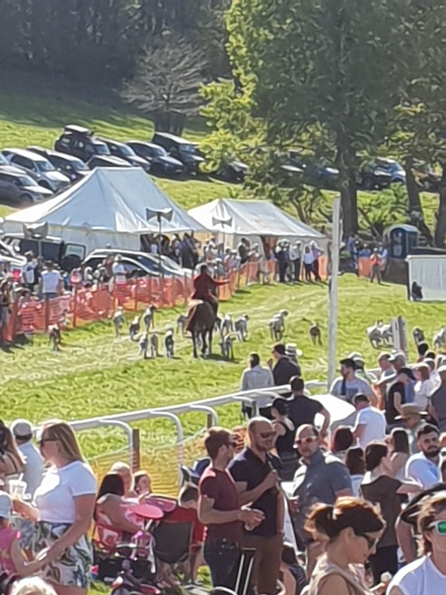 garystreeterkt's tweet photo. Lovely day out at Flete point-to-point  in support of @ModburyHarriers and Dartmoor Hunt. Countryside at its very best https://t.co/W3Mk87eyd6