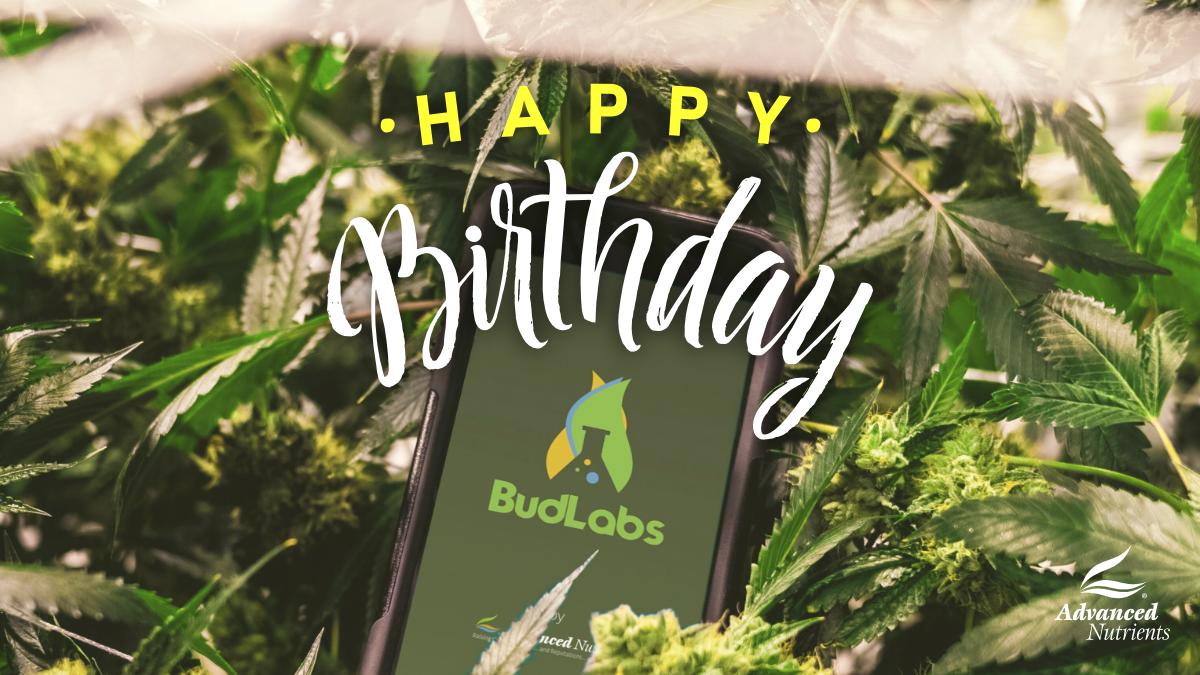 advancednutes's tweet photo. BudLabs is turning 2, and 60k+ growers now use this app! 🔥 Its bday is 4/20, so in celebration we want to know how has BudLabs helped you? 💚
#AdvancedNutrients #MMJ #HighGrade #BudLabs #GrowYourOwn #SmokeYourOwn https://t.co/HWWIitY9Q9