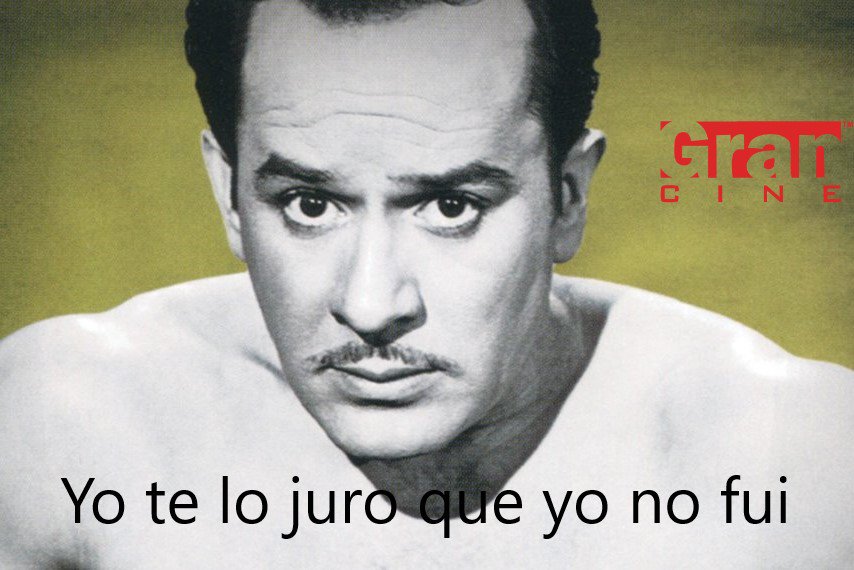 GranCinetv's tweet photo. Te lo Juro que yo no fui...😝
#FelizSaturday #PedroInfante #FelizDía #FrasesFamosas
#FelizSabado #GranCineTV #FamososdelCine #Cine https://t.co/l37xBbJ9T1