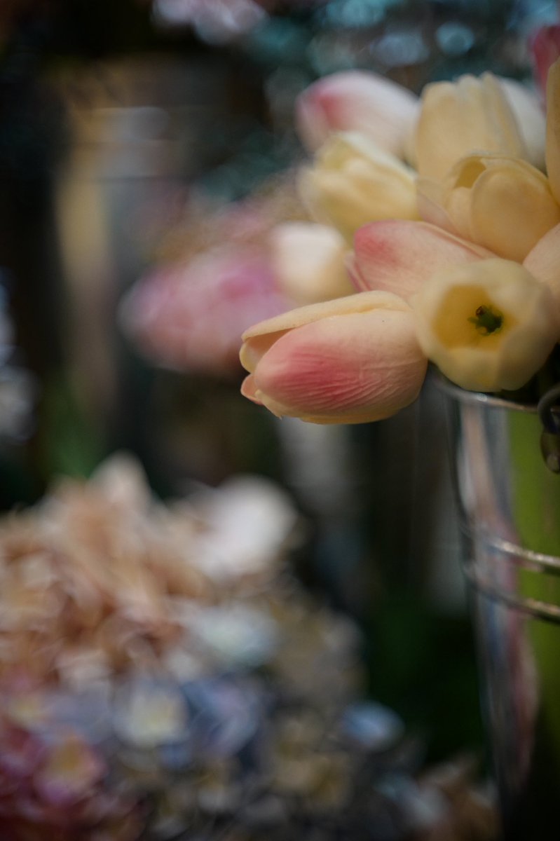 jeffowong's tweet photo. Angeniuex S2 40mm f1.8 + SL https://t.co/ZaWfU66Rlq