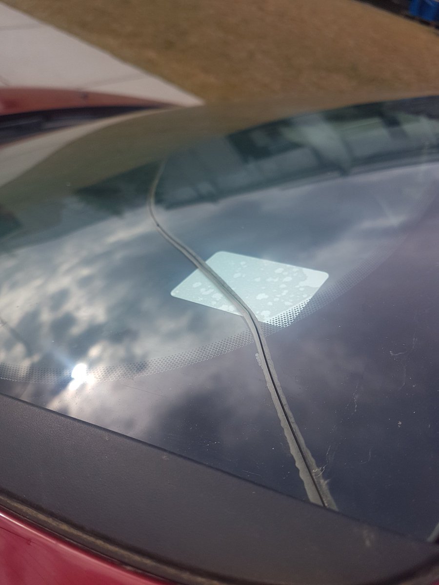 Kyle McKinnon tweet media