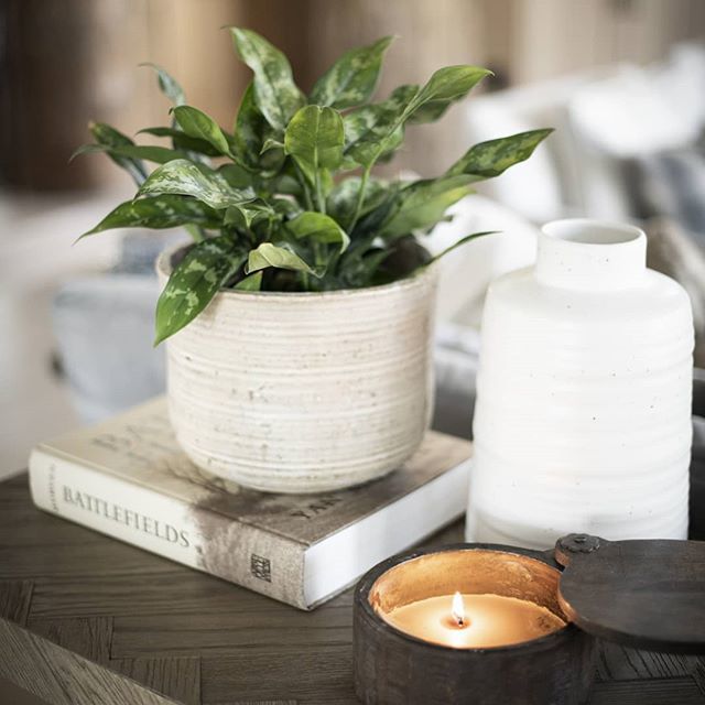 Every room needs some final touches. We added this baby fern to add some life. What is your favorite accessory? Plants? Books? Candles? The options are endless! bit.ly/2KSGgz3