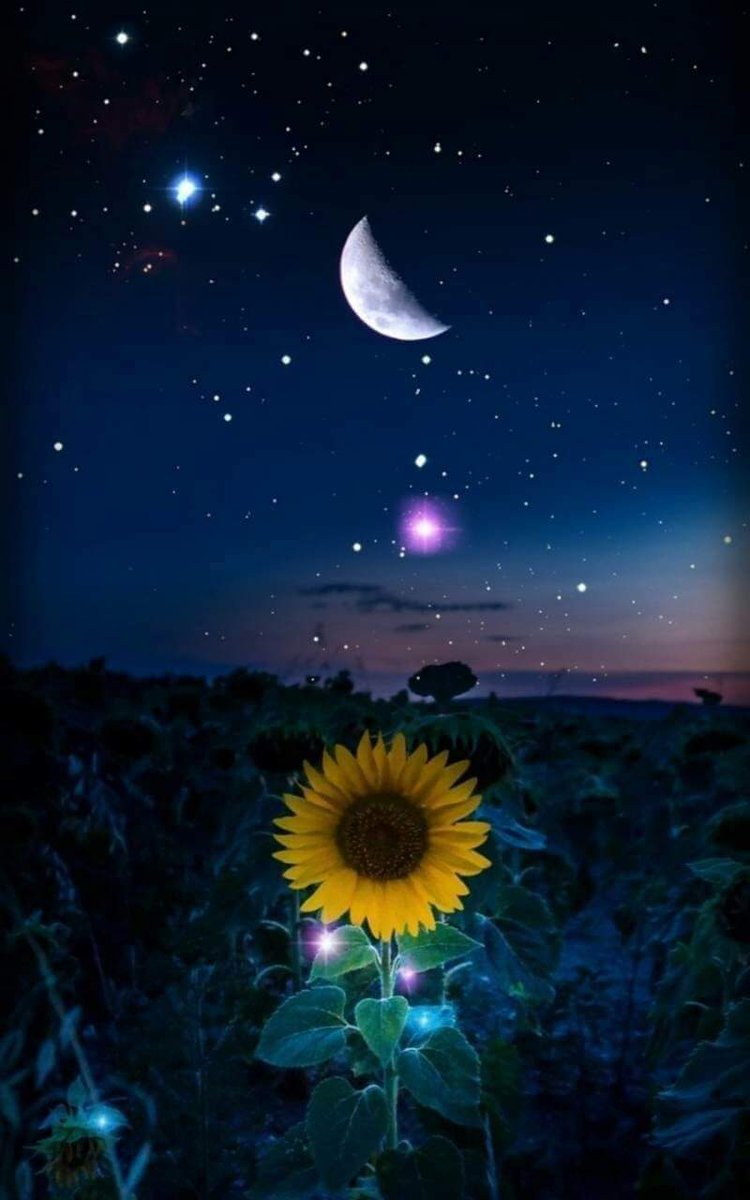 마음을 흔드는 것은 
낭만적인 풍경과 
찬란한 단어가 아니라 
아주 작은" 진심 " 이다.
내 마음 속에서 
울렸던 것들을 
고스란히 
내뱉을 수 있는 용기이다.
「다 괜찮다」중에서