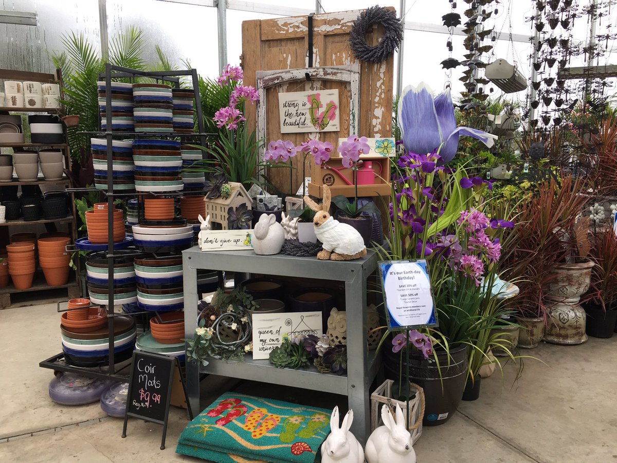 The weather may be a little rainy, but it’s perfect inside here at #RoyalCityNursery!! Join @LisaOnAir til 3pm for all your Spring Gardening & Easter décor needs!! #EarthDayBirthday
