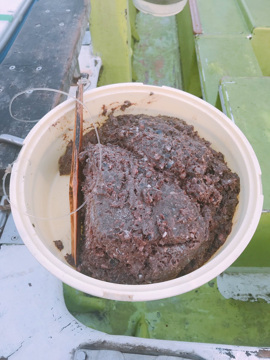 サビキエサやコマセの代用 自作で釣れる撒き餌を作る方法 Fishing Fishing