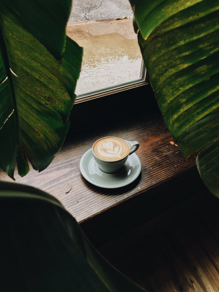 PLUS COFFEE tweet media