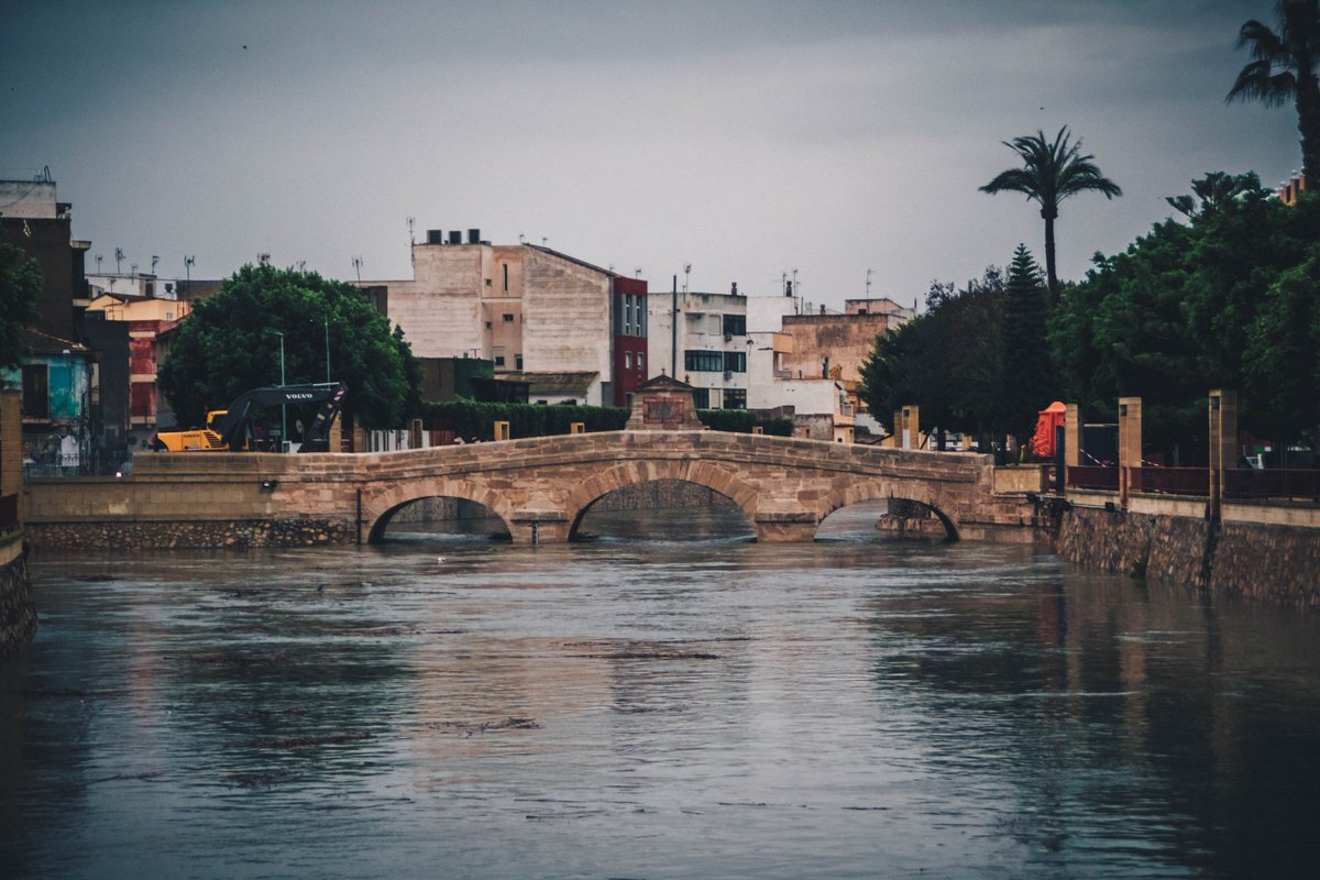 geologoenapuros's tweet photo. Aprovechando la crecida del río Segura debido al episodio de "gota fría" que hemos sufrido las últimas 24 horas he tenido la oportunidad de fotografiar una gran cantidad de fauna salvaje a su paso por Rojales. https://t.co/7pvQgh5ZSQ