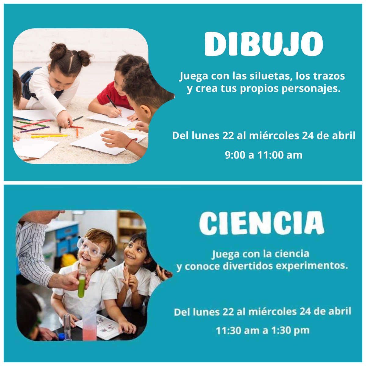 ProyectoRemo tweet media