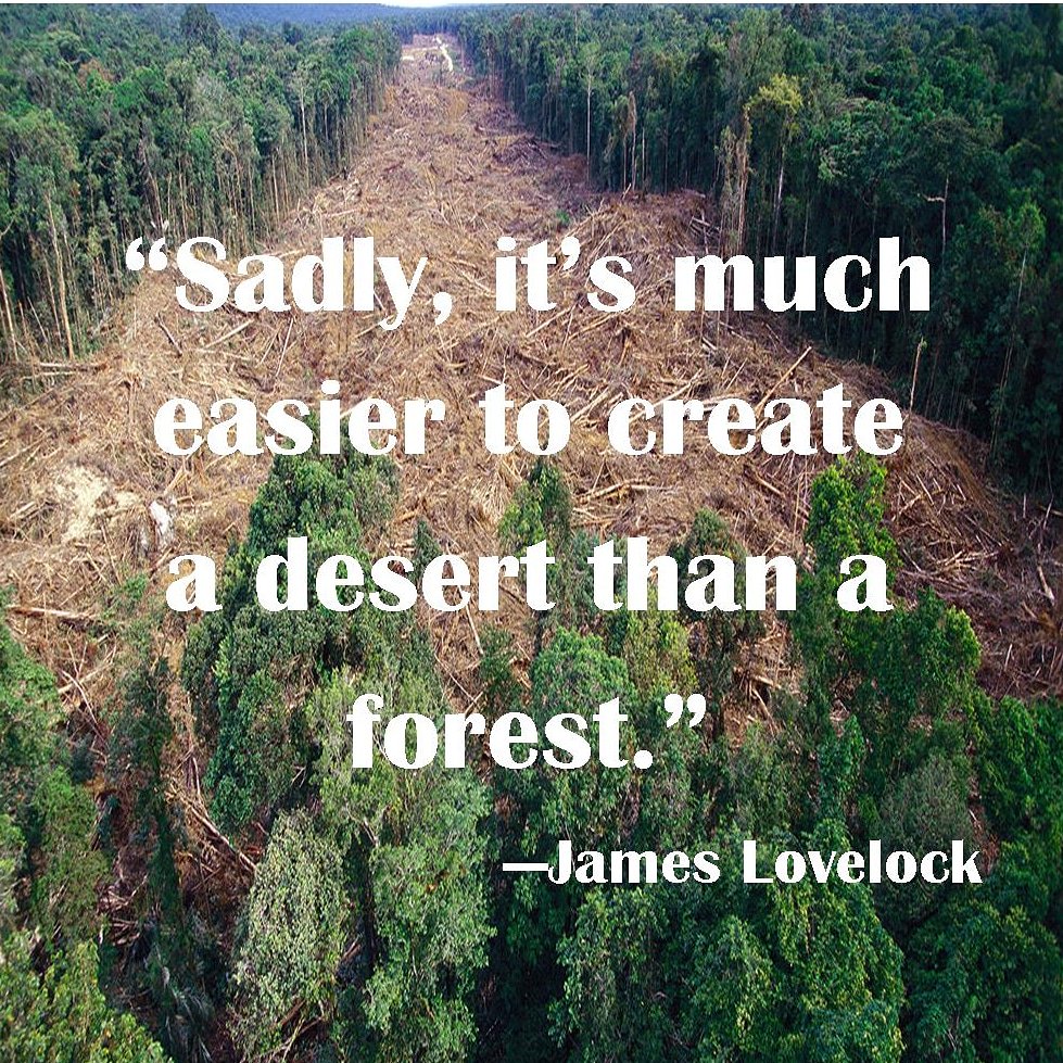 GerardMeade's tweet photo. SAD IT IS.

#earthday #environment #arborday #quotes #quotestoliveby #green #nottoolate https://t.co/MAHih1GGsv