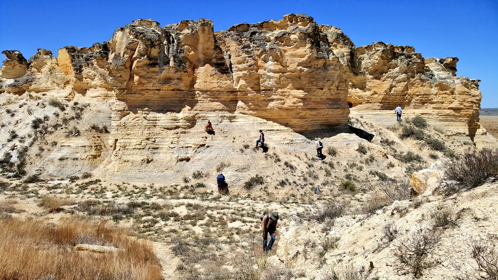 AMMPaleo's tweet photo. What a fantastic day for a fieldtrip out in the cretaceous #SmokyHillChalk of Kansas! @AMMPaleo members were guided by @SternbergMuseum curator @LEW999, @SternbergCamps leader @DALevering, & @Mosasaurologist of Rocky Mtn. Dinosaur Resource Center. Many thanks! #AMMP2019 https://t.co/6TAbHvAGFp