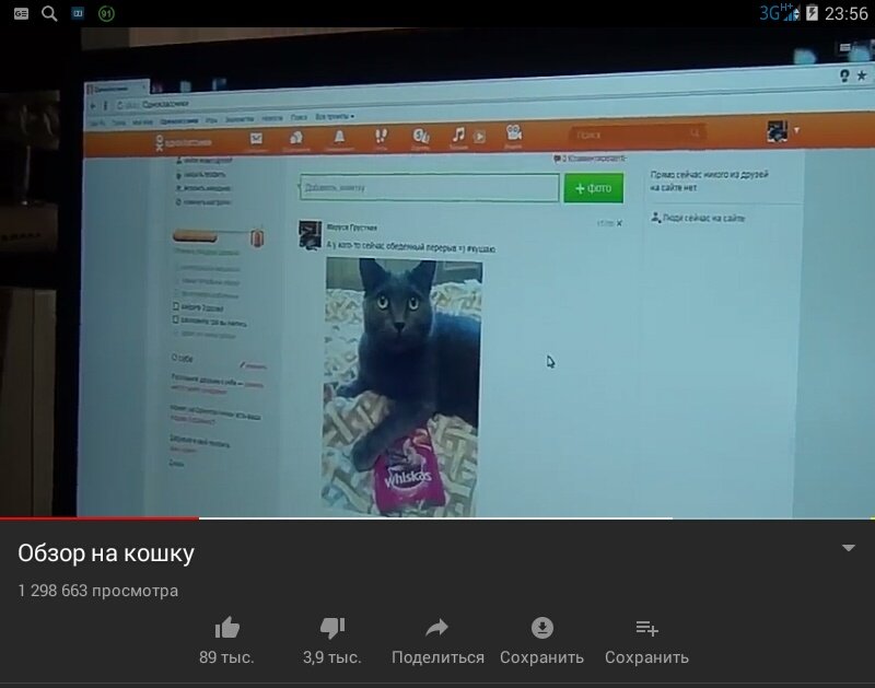 Месяц до ЕГЭ. Тем временем я: