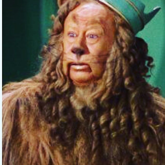 Have courage friends... contact us for a free no obligation chat about how we can help you find someone special to share the sunshine #bloom-consultancy.co.uk #somewhereovertherainbow #wizardofoz bit.ly/2ILGoOi