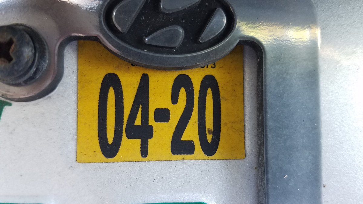 billeecox's tweet photo. Why do hitler's birthday and national cannabis day share the same date? This is my license tag #whichmeans I cant decide if I want to #invadepoland or #orderanotherpizza https://t.co/vynFd98Tk3