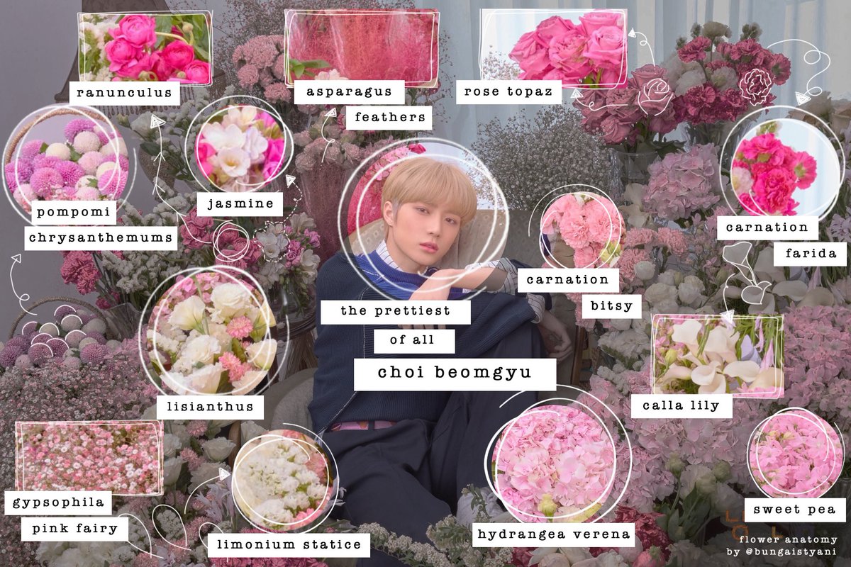 trivia_flower's tweet photo. been wanting to do this for so long but gaaaaah it took me hours to do just one 😅😅😅

here it is: flower anatomy of the latest @txt_bighit concept photo for #beomgyu #catanddog https://t.co/XuEpcV8gZj