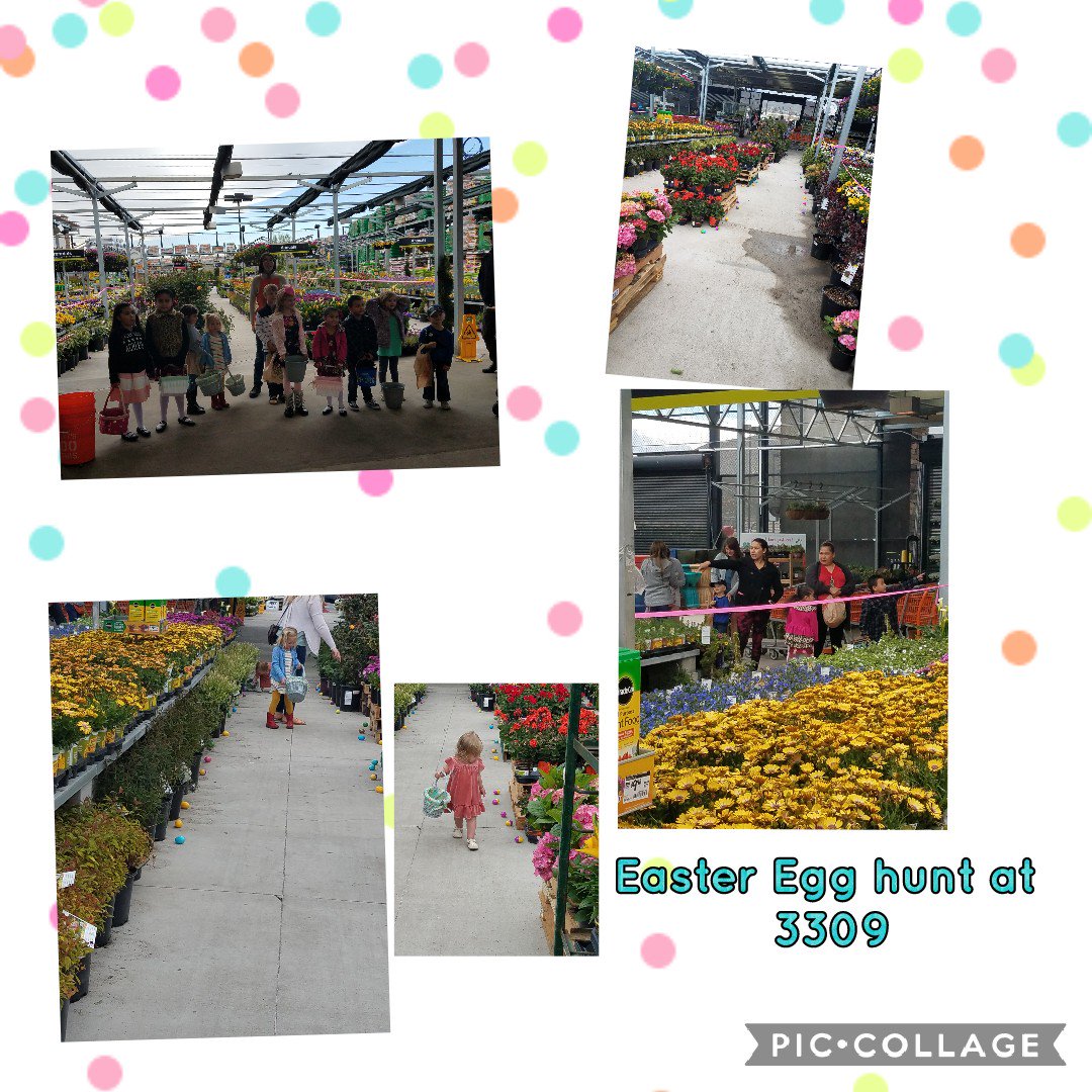 Easter Eggs Hunt at store 3309