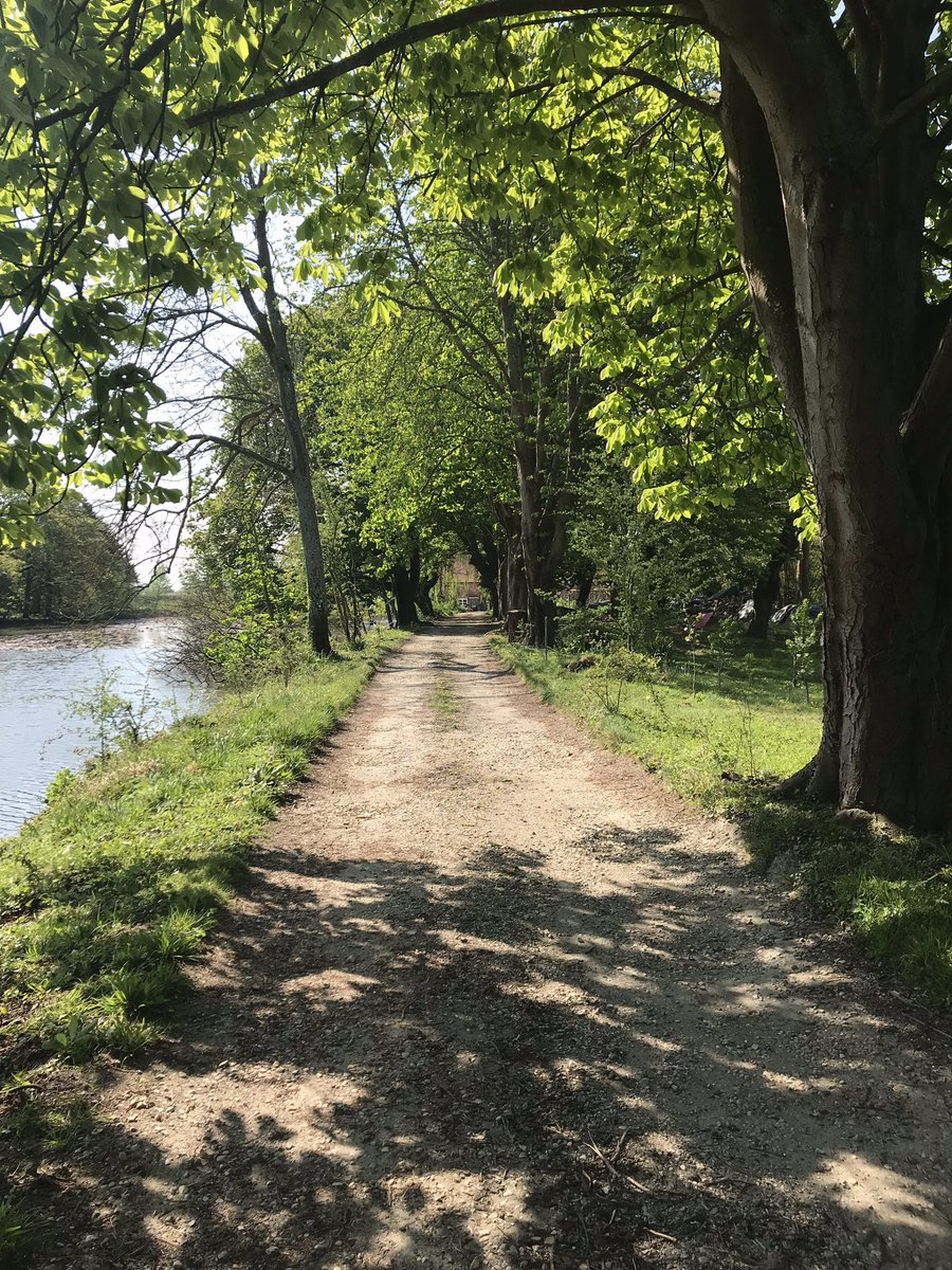 DazJump's tweet photo. Today’s bike ride North of Bognor... who knew there was some decent trails and countryside around here! ☀️🚵🏻‍♂️ #LocalExploring #Colworth #BognorRegis #Shripney https://t.co/qek4YwuZTX