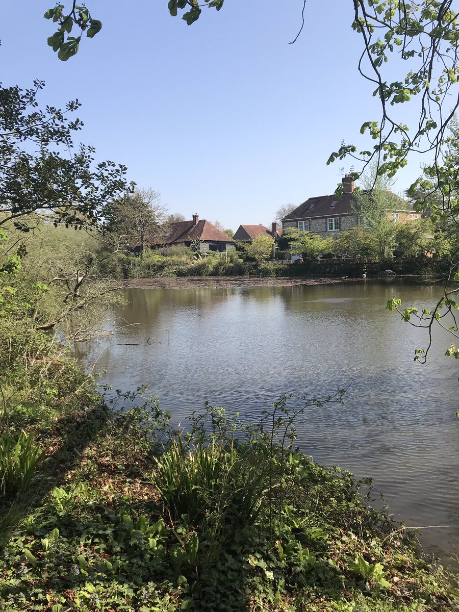 DazJump's tweet photo. Today’s bike ride North of Bognor... who knew there was some decent trails and countryside around here! ☀️🚵🏻‍♂️ #LocalExploring #Colworth #BognorRegis #Shripney https://t.co/qek4YwuZTX