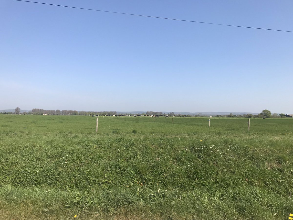 DazJump's tweet photo. Today’s bike ride North of Bognor... who knew there was some decent trails and countryside around here! ☀️🚵🏻‍♂️ #LocalExploring #Colworth #BognorRegis #Shripney https://t.co/qek4YwuZTX