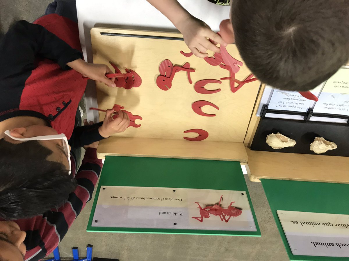 MooCounselor's tweet photo. Some highlights from this week: Tuesday was @OMSI Night at Mooberry 👏🏼👏🏼👏🏼 to @Schottie4 for making this event so successful!! https://t.co/EP1DzCXVQ7