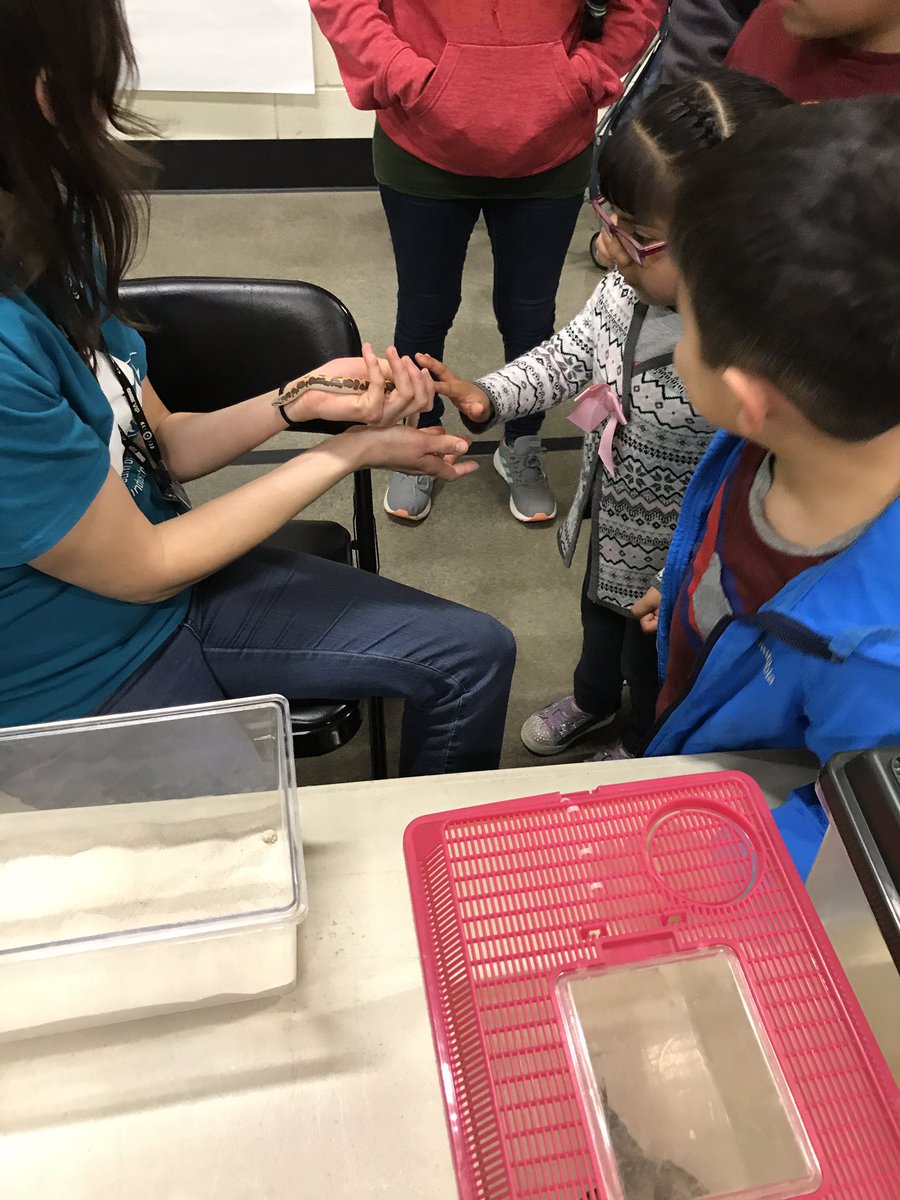 MooCounselor's tweet photo. Some highlights from this week: Tuesday was @OMSI Night at Mooberry 👏🏼👏🏼👏🏼 to @Schottie4 for making this event so successful!! https://t.co/EP1DzCXVQ7