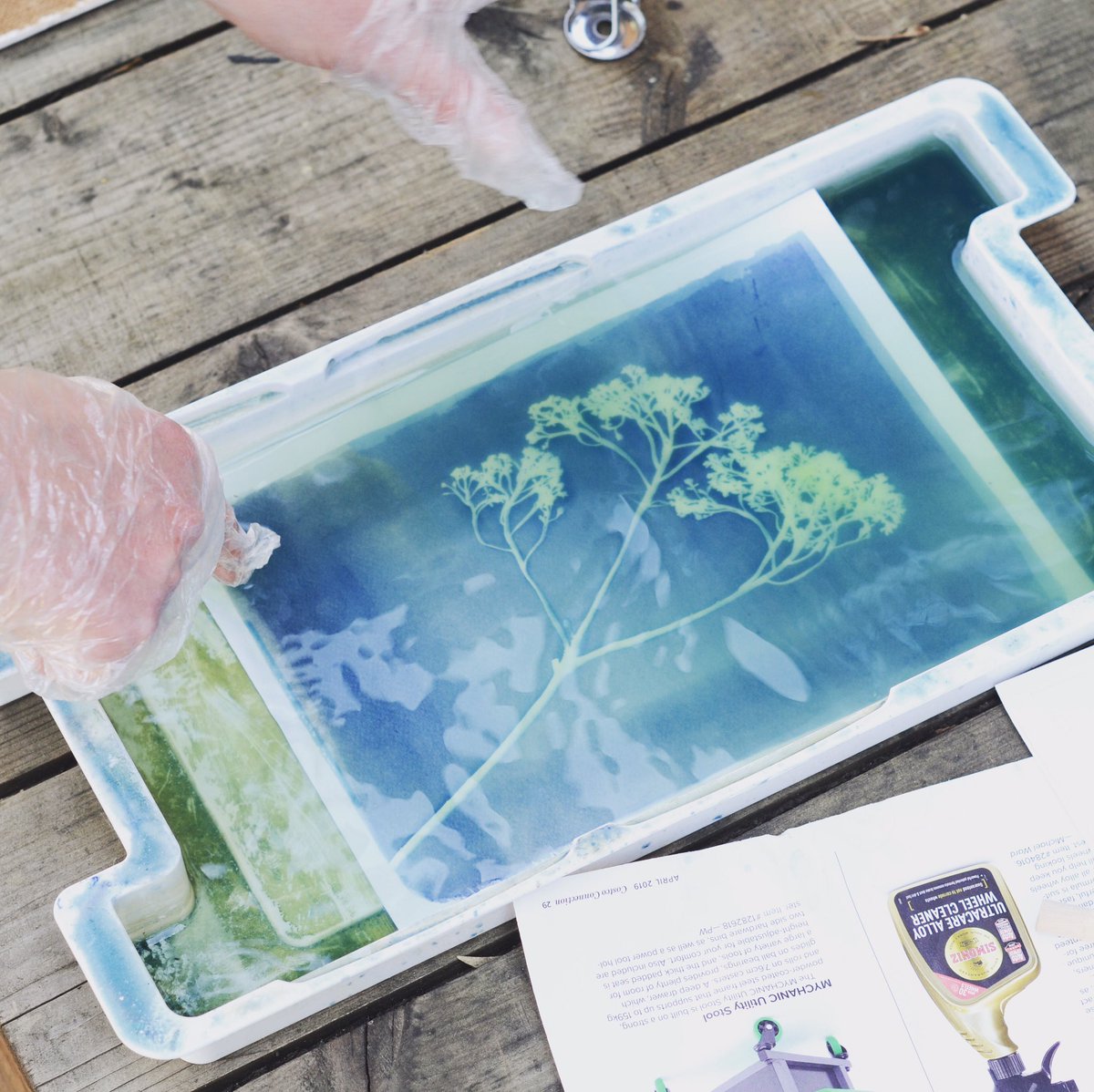 MappofLondon's tweet photo. Today I taught my first class ever & loved it! Thanks to Susie for being my guinea pig #cyanotype #sunprinting #photography #obbyuk #teddington #Richmond #Twickenham https://t.co/wpvsrAkQOH