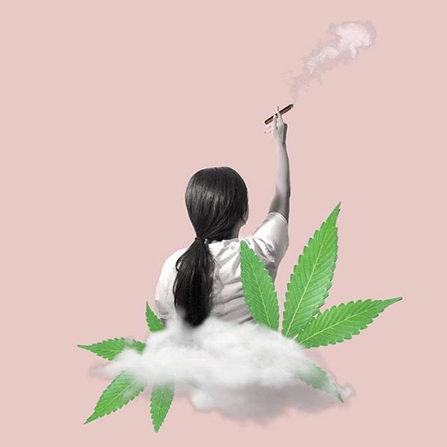 hemlockroseshop's tweet photo. Happy 420, friends!🌿💨💨💨
-
-
📸: @greengardensf
-
#420 #canada #legal #prettypothead #lifted #liftedladies #girlswhosmoke #womenwhosmoke #womenandweed #pot #cannabis #luxurycannabis #luxurylifestyle  #puffpuffpass #elevated #elevatedlifestyle #420 #highlife #highlifestyle … https://t.co/kWBJXWE4v6