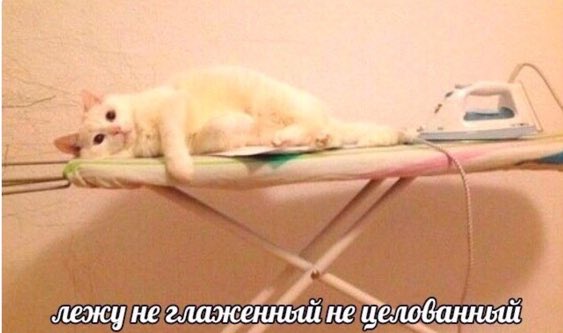 al_parka's tweet photo. настроение https://t.co/UhHGvQgNes