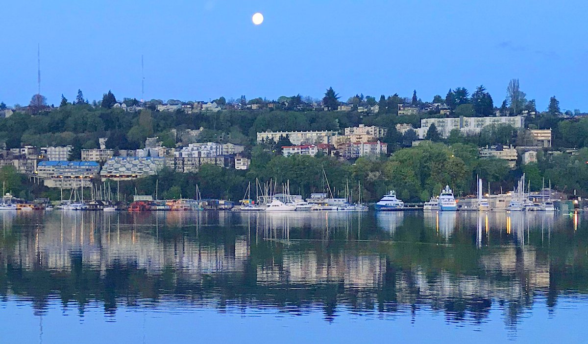 5h15h's tweet photo. #fullmoon #Seattle #king5spring https://t.co/uM5bkwvcSN